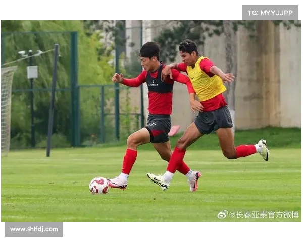 泰家兄弟握手言和！长春亚泰与山东泰山激战成局(2007年长春亚泰)