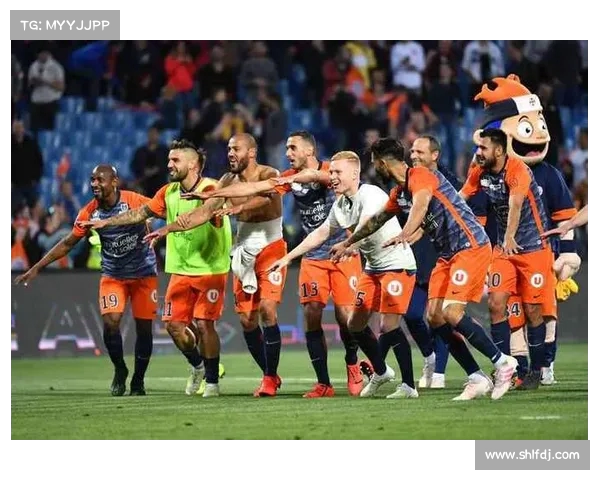 法甲焦点:里尔主场对阵蒙彼利埃,成功逆转 法甲焦点:里尔主场对阵蒙彼利埃,成功逆转