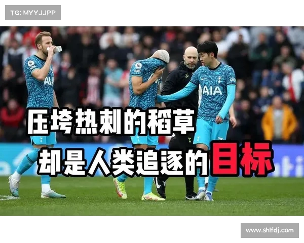 热刺连胜步伐加快,目标明确 热刺连胜步伐加快,目标明确